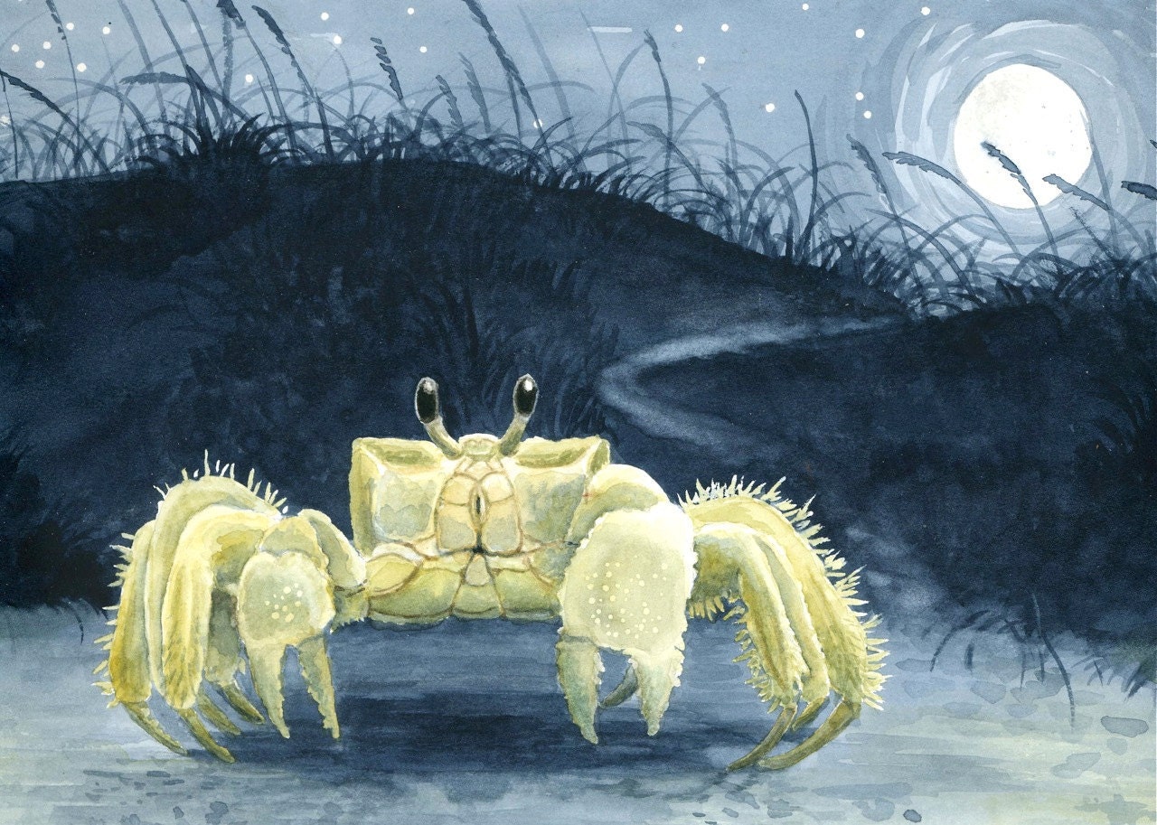Ghost Crab Crab painting, Painting, Original watercolor painting