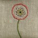 Jewelweeds