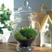blithegardens