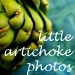 littleartichoke