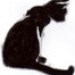 blackscrapcat