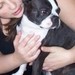 AGirlandHerDogShop