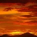 azsunshine51