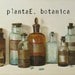 PlantaeBotanicals