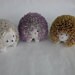 beadedhedgehog