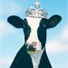 dairylandiva