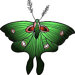 silvermothpdx
