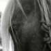 urbanponyarts