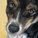 WhiskeredPaintings