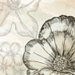 ShopTinyTreasures