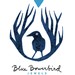 bowerbirdjewels