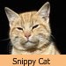SnippyCat