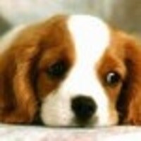 misscharlottejewelry