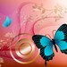 Paris Butterfly