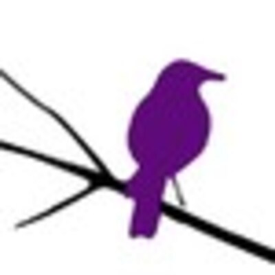 Plum Sparrow