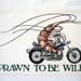 prawn2bewild