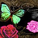 Mary Gibbins