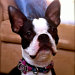 Katie