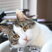 Abby