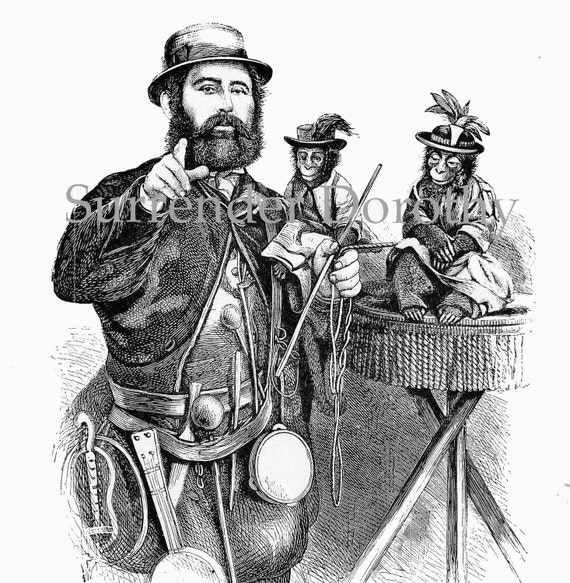 Performing Monkeys Hurdy Gurdy Man Organ Grinder Vintage 1879