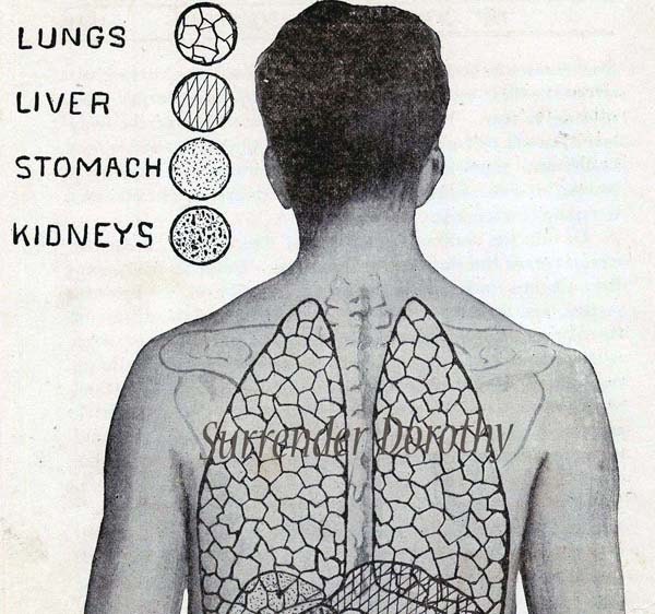 Human Organs Anatomy Chart Awesome Tattoo Dude 1920s Weird