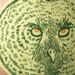 Great Grey Owl Sew-on Patch