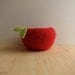 Woolen Apple Felted Bowl
