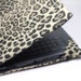Kindle Keyboard cover - Leopard Print - hard sided Kindle 3 cover - ready to ship