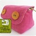 Padded Camera Pouch PDF Sewing Pattern (Email Delivery) - Four Sizes