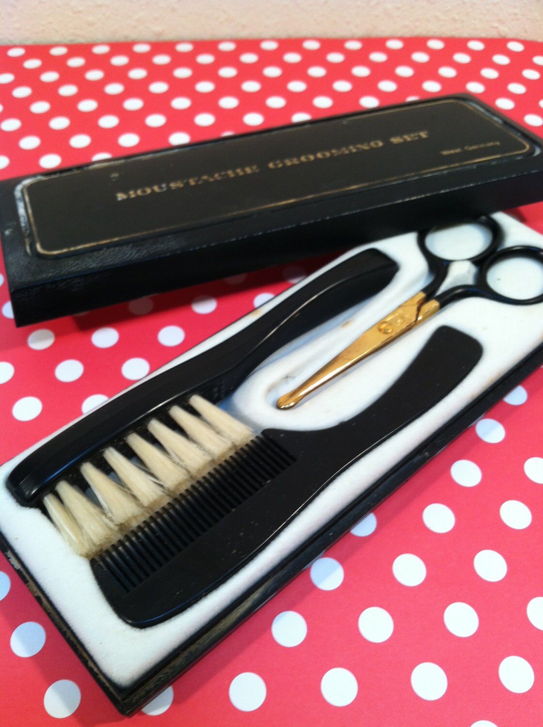 Mr Hipster MOUSTACHE GROOMING KIT / Vintage Scissors Brush and