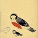 For the Birds