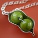 Two Peas in a Pod Necklace