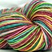 HandSpun Yarn Merino Wool and Tencel Slice of Life 281 yards