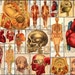 ANATOMY oF THe HUMAN BODY DIGITaL CoLLAGE ShEET BrAINS MoUTHS HeADS aND BaBIEsS .025