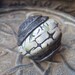 Reduced Price----Pendant - Focal Bead - Pewter and Blue