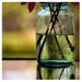 Flower Photograph - Perfect Imperfect - Fine Art Photograph - Nature Photography - Dahlia - Ball Jar - Mason - Alicia Bock - Summer - Green