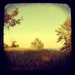where you can breathe- orignial signed fine art photograph- alicia bock