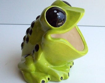 Frog Scrubby Holder, Tree Frog, Sponge holder,Brillo pad holder, Ceramic Frog, Apple Green, Home Kitchen Decor, Frog Gift, Poison Dart Frog