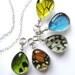 Real Butterfly Wing Heirloom Necklace, glass teardrop, choose your color