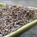 1lb - Dried Lavender Buds from Provence, 18-19 cups