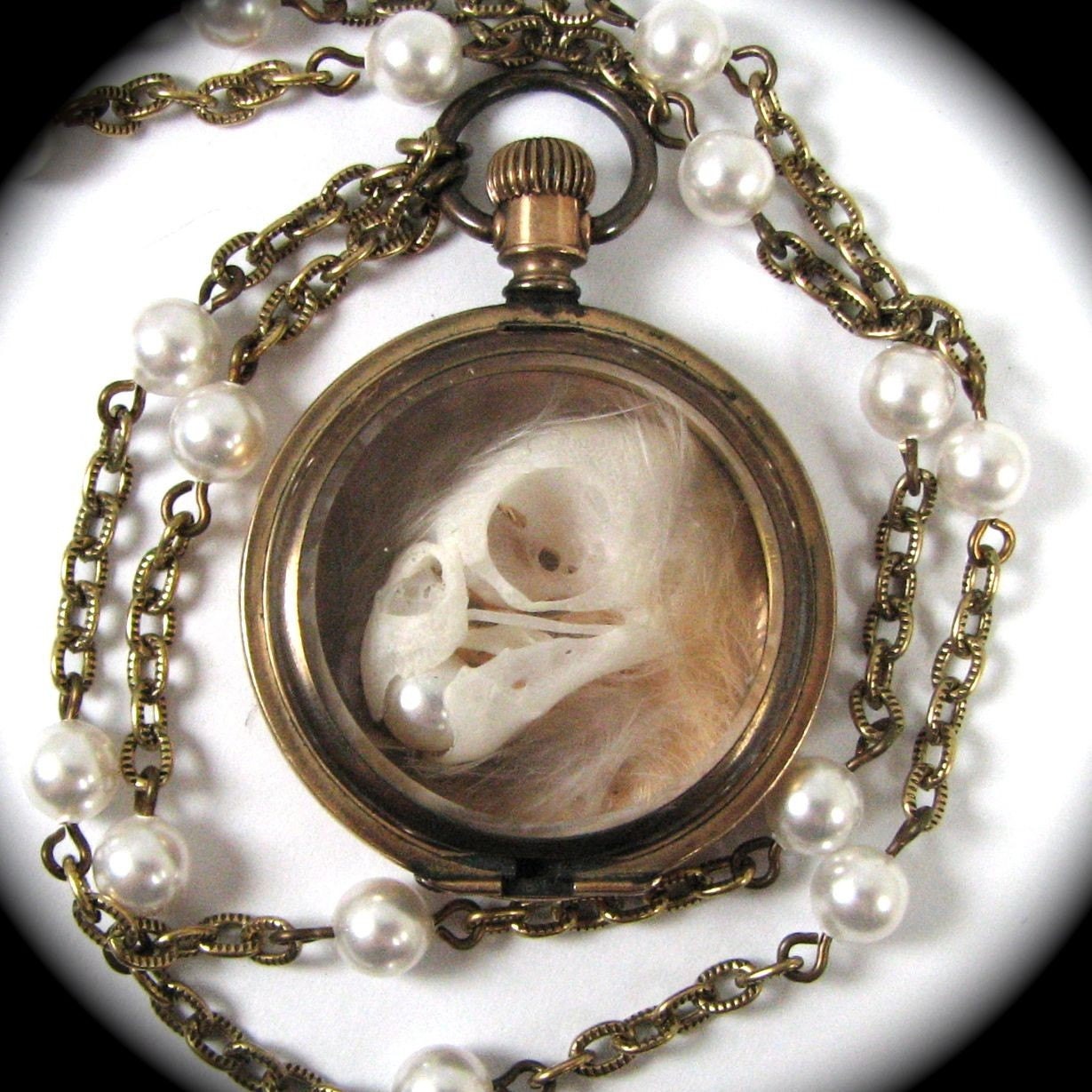 Ossuary Relic HALCYON Victorian Pocket Watch Necklace with