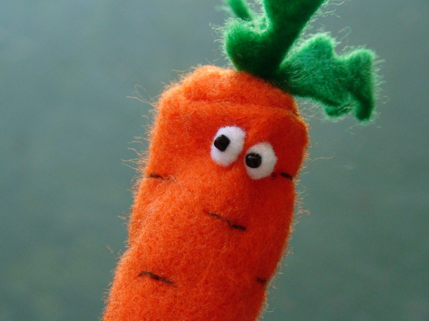Steam carrot sticks фото 46