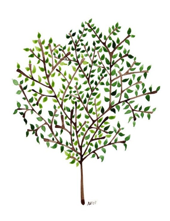 clip art olive tree - photo #31