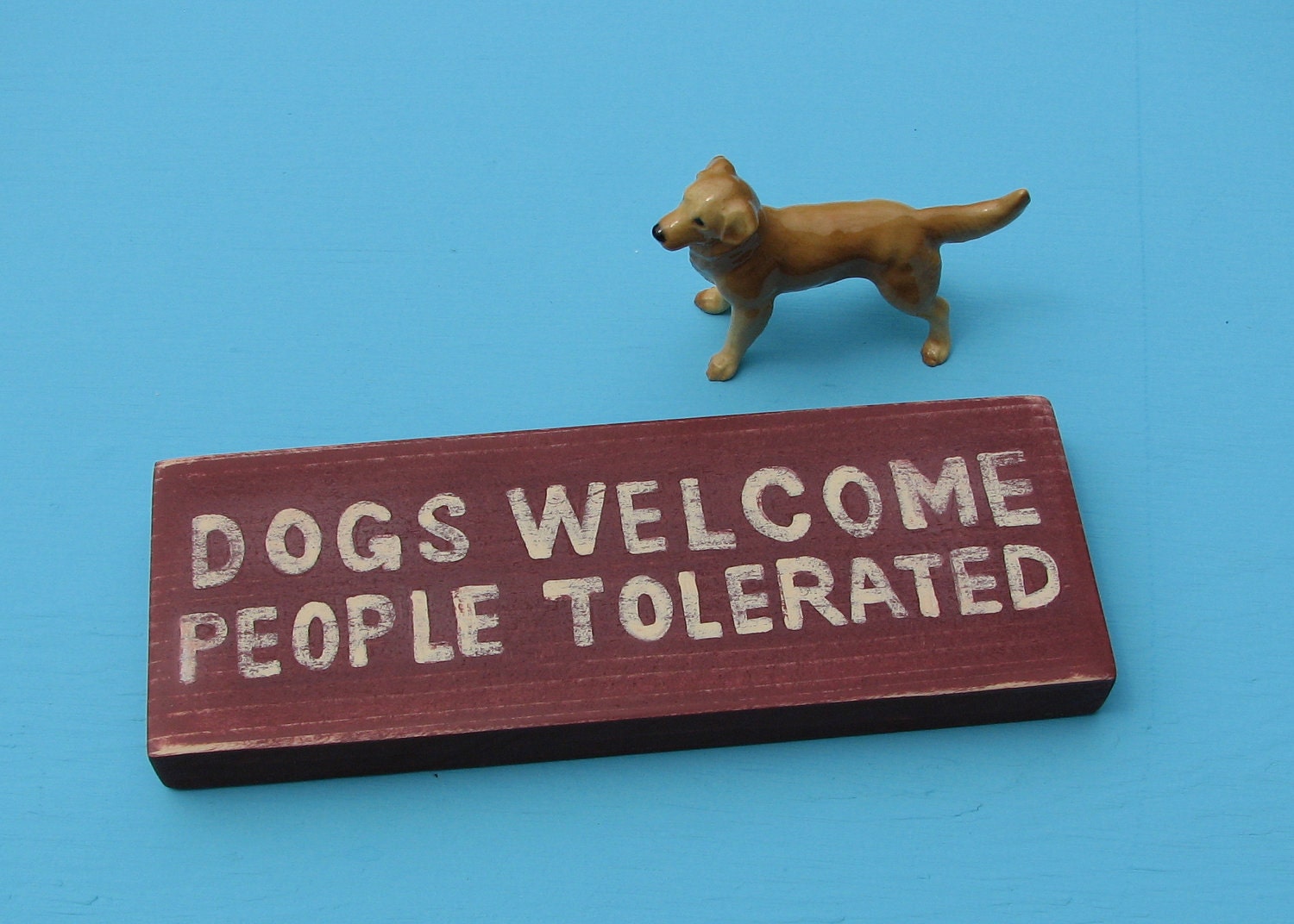 dogs welcome people tolerated pillow