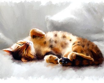 Bengal Cat Print - All Curled Up - Limited Edition Kitty Art Print