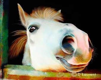 Billy - Horse Pony Fine Art Limited Edition Print - Free Shipping