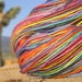 Rainbow - 400 Yards - BFL Fingering Weight Yarn.