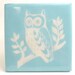 Aqua Owl Coaster