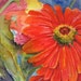 Big Colorful Zinnias Original Watercolor Painting