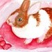 ACEO Original White and Brown Bunny Rabbit with Pink Bow in Bunny Bed,